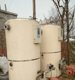 衡水二手0.5噸燃?xì)鉄崴仩t出售信息與市場指南