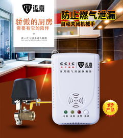精選優(yōu)質(zhì)家用燃?xì)鈭?bào)警器 可靠生產(chǎn)廠家與價(jià)格指南